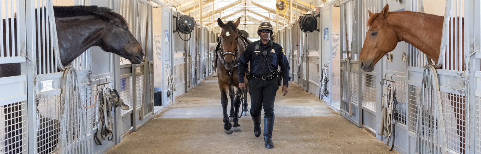 Mounted Patrol